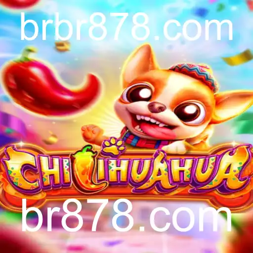 CHILIHUAHUA: Mergulhe na Aventura Canina Picante